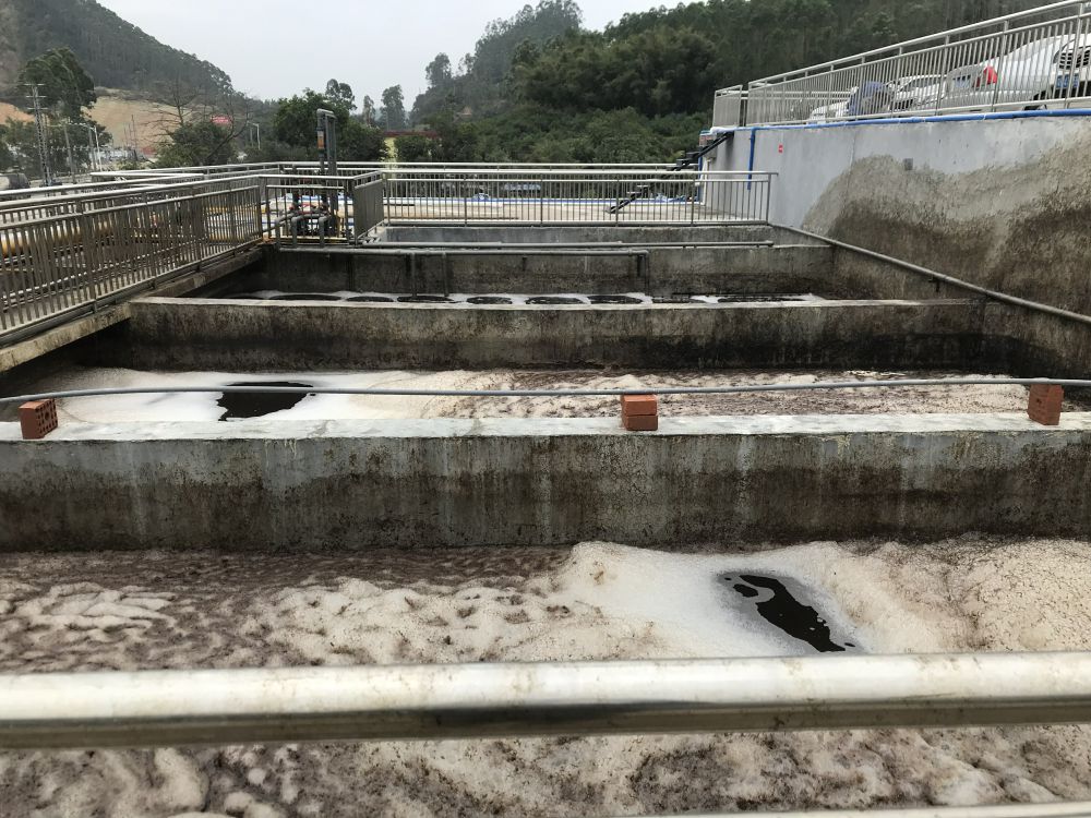 某某（mǒu）屠宰場項目——500t屠宰廢水（shuǐ）處理係統