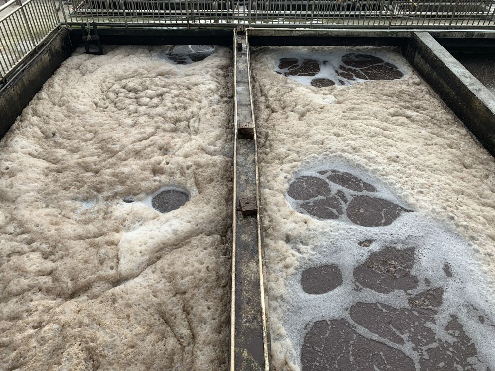 某某（mǒu）屠宰場項目——500t屠（tú）宰廢水處理係統