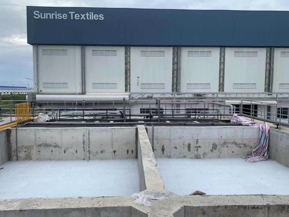 越南某某（mǒu）4000T印（yìn）染廢水